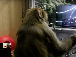 thumbnail - Brain-Computer Interface
