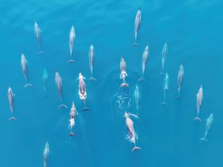 thumbnail - Ocean warming