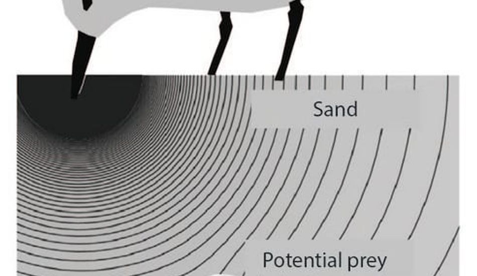 imageHuman Remote Touch