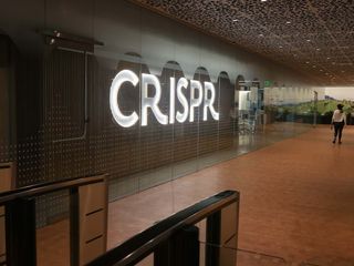 thumbnail - CRISPR, Malaria